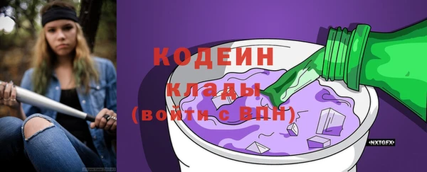 прущие крисы Горняк