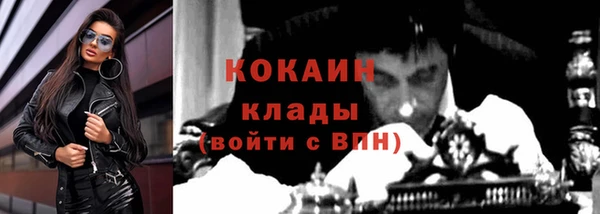 прущие крисы Горняк