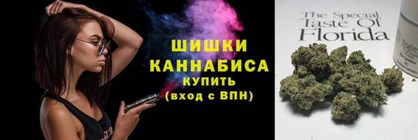 прущие крисы Горняк