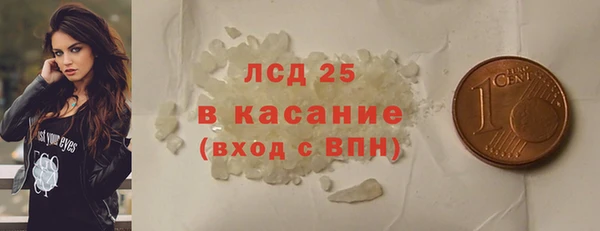 прущие крисы Горняк
