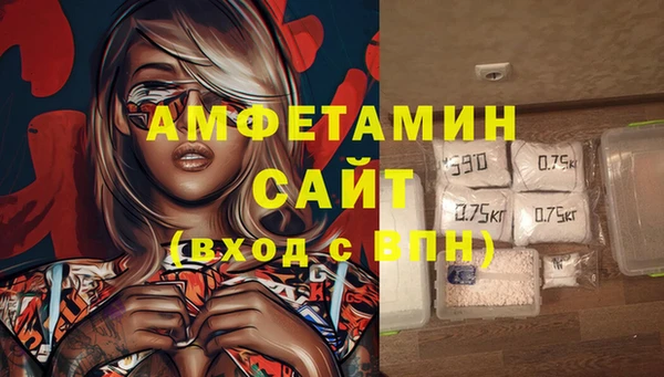 прущие крисы Горняк