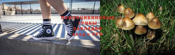 прущие крисы Горняк