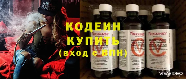 прущие крисы Горняк