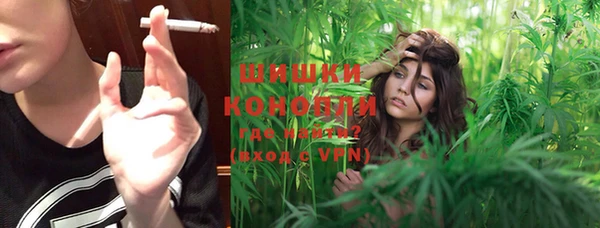 прущие крисы Горняк